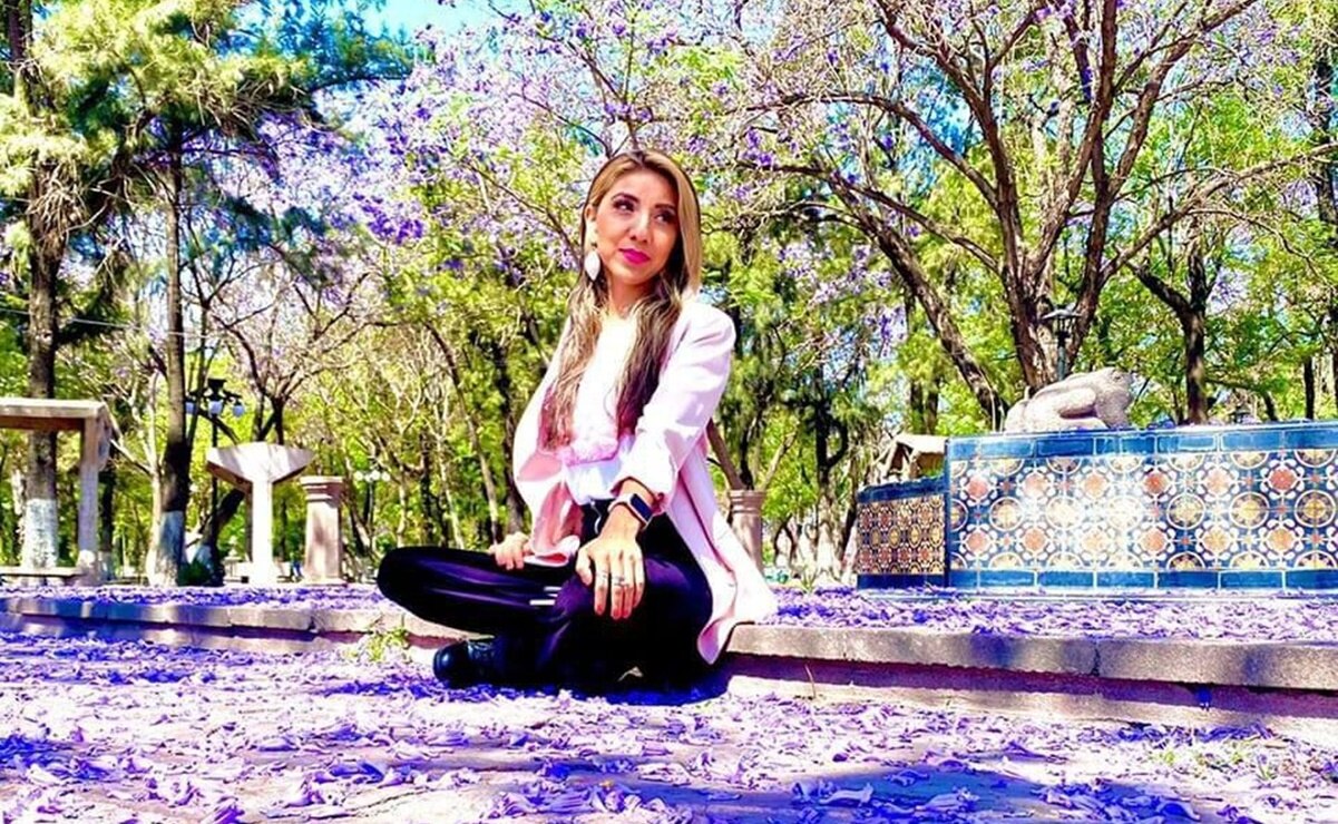 Las jacarandas visten de morado la capital de SLP. Foto: Cortesía