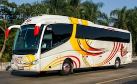 Potosinos cambian la forma de viajar: vuelos crecen 10 por ciento, pero el charter sigue dominando