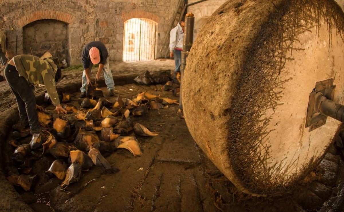 Cuál es el origen del mezcal de Salinas, San Luis Potosí