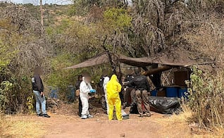Mega aseguramiento de drogas en "narcolaboratorio" en SLP; lo incautado tendría valor por 500 mdp
