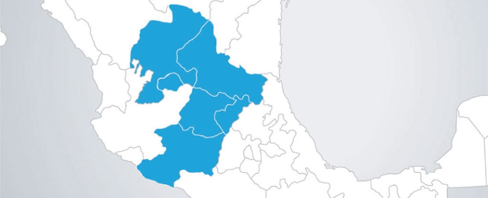 Pedirán a gobierno federal mayor impulso a región Bajío