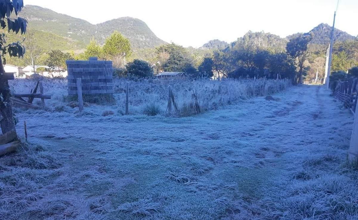 Huasteca potosina se congelará, pronostican temperaturas de cinco grados en Xilitla y Ciudad Valles