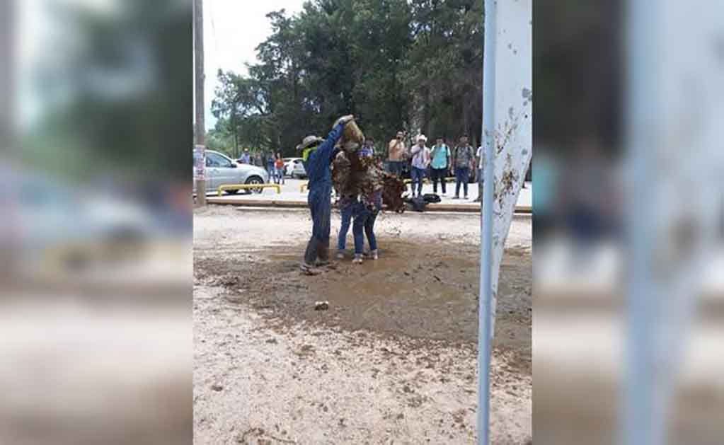 Novatadas no se dan dentro de la UASLP, señalan autoridades