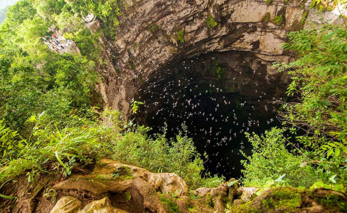 Sótano de las Golondrinas. Foto: Sectur San Luis Potosí