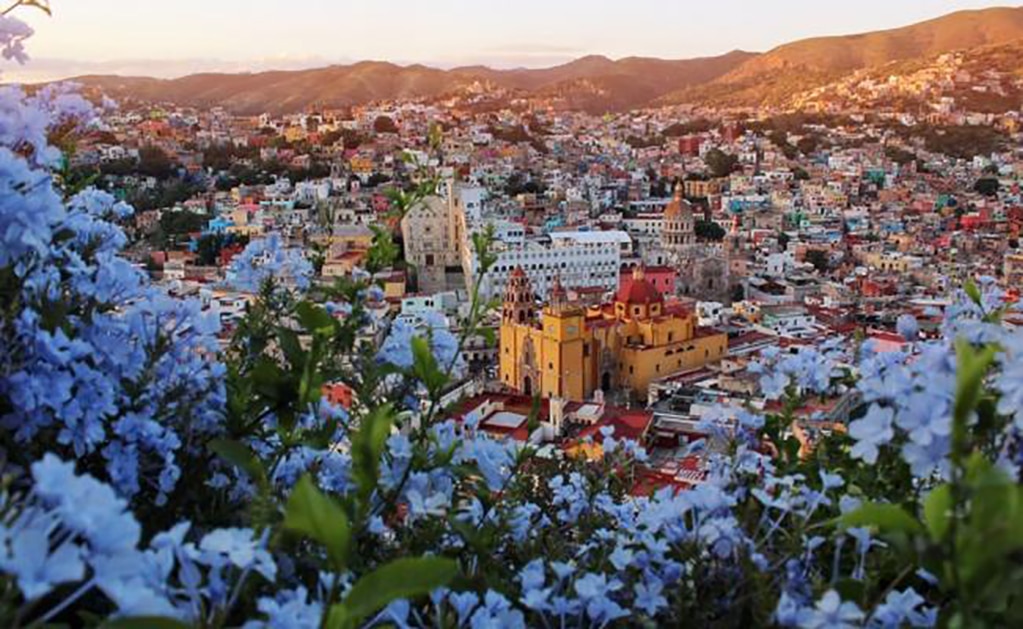 La "Visa" comenzará a distribuirse en los primeros días de diciembre (Foto: tomada de Twitter @ANavarroMX)