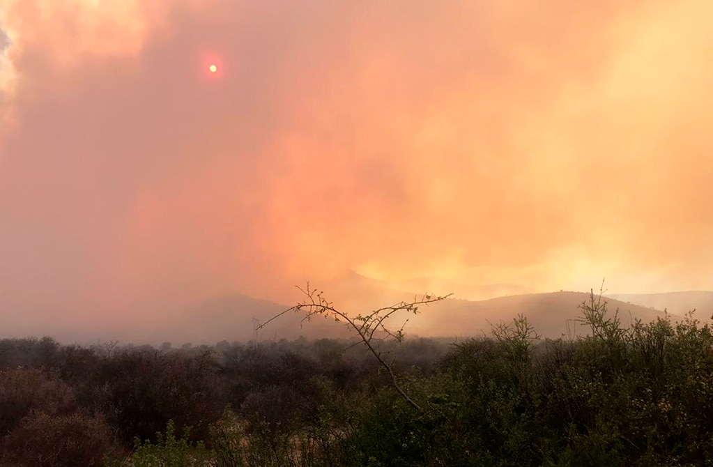 Incendios forestales podrían tener “un trasfondo perverso”: especialista 