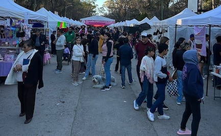 Instalan mercadito con causa en el Parque de Morales, SLP