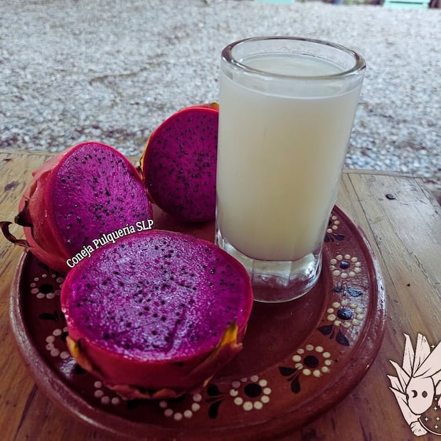 El Día Nacional del Pulque se celebra el primer domingo de febrero en México