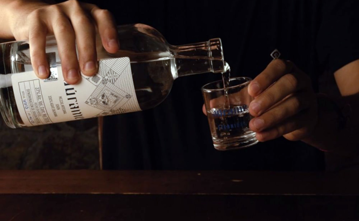 Los tres mezcales potosinos que destacan entre los mejores de México