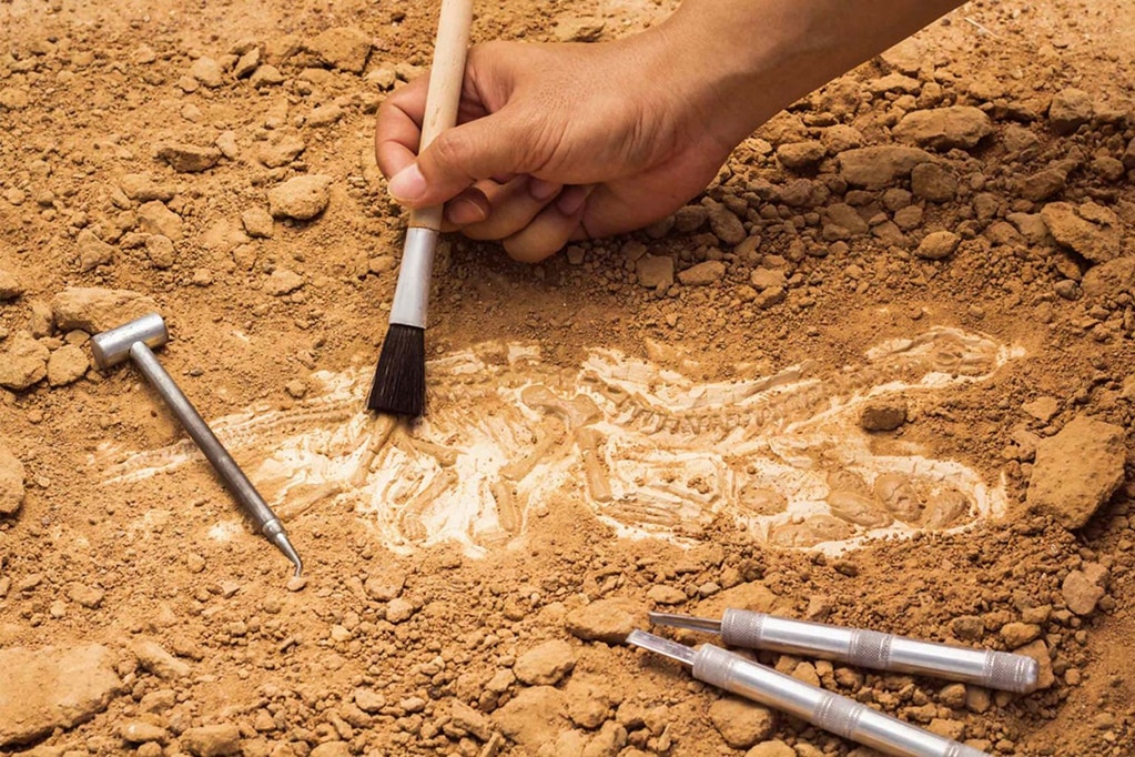 César Iracheta ofrecerá la conferencia “Arqueología en San Luis Potosí”
