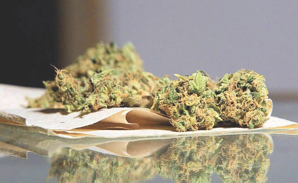 Aseguran 3 kilos de marihuana en aeropuerto de San Luis Potosí