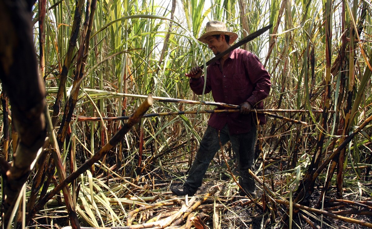 SLP cierra mayo con baja de 2 mil 513 fuentes de trabajo en el sector primario