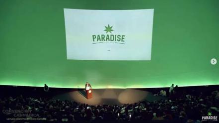 Roberto Palazuelos y Vicente Fox abren tienda de cannabis en San Luis Potosí