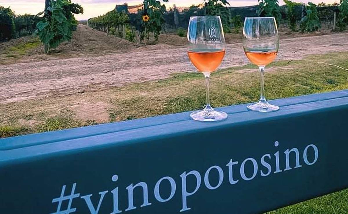 Vinos potosinos se llevan medallas de oro y plata en el Global Wine 2022. Foto: Cava Quintanilla y Pozo de Luna