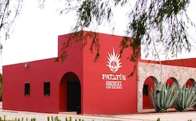 Productores piden proteger al mezcal potosino ante nueva regulación federal 