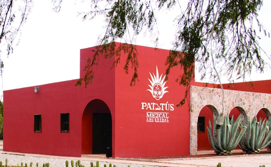 Productores piden proteger al mezcal potosino. Foto: Especial