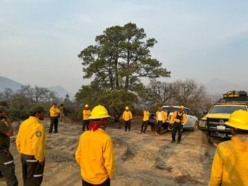 Intensifica gobierno de SLP labores para sofocar incendio forestal en Santa María del Río y Tierra Nueva