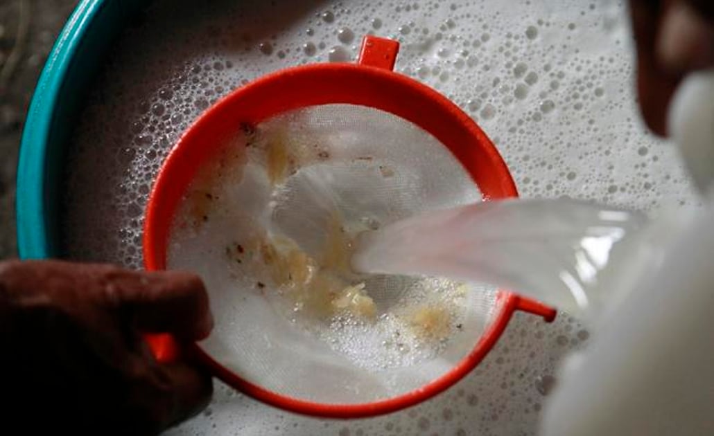 Foto: EFE | El Universal