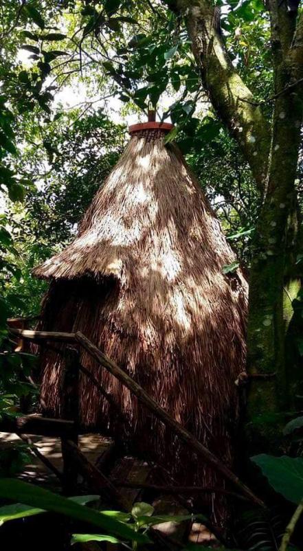 Xilitla Pueblo Mágico. ¿Cuánto cuesta hospedarse en la madriguera hobbit?