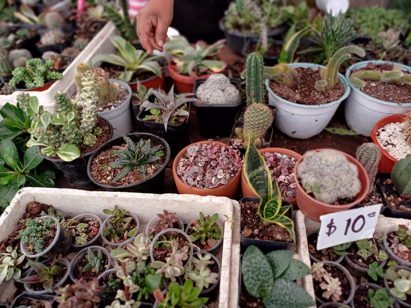 Foto: Humberto Torres