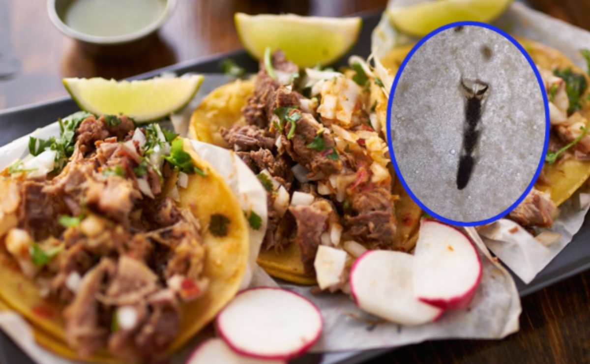Viral: Examinan con microscopio un taco callejero y encuentran “ingredientes secretos” 
