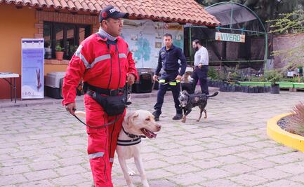 Inicia “Primer Seminario de Formación de Perros de Búsqueda y Rescate” en SLP
