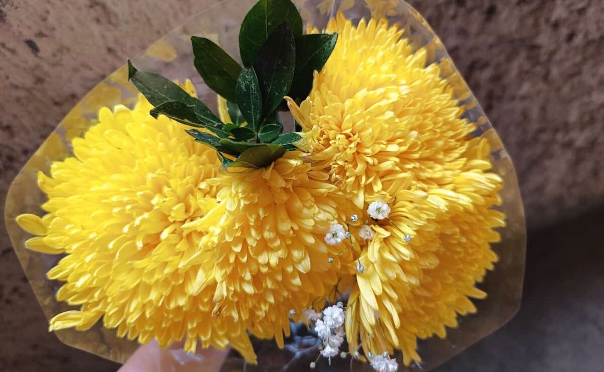 Regalar flores amarillas con la llegada de la primavera, verano u otoño ha cobrado fuerza en los últimos años. Foto: Jazmín Ramírez