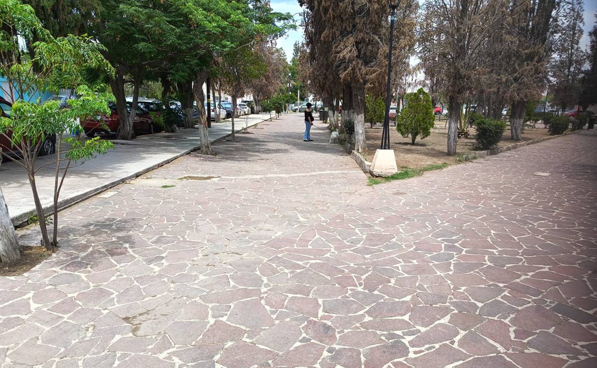 ¿Sin clases este viernes? Descubre actividades gratuitas para niños en San Luis Potosí