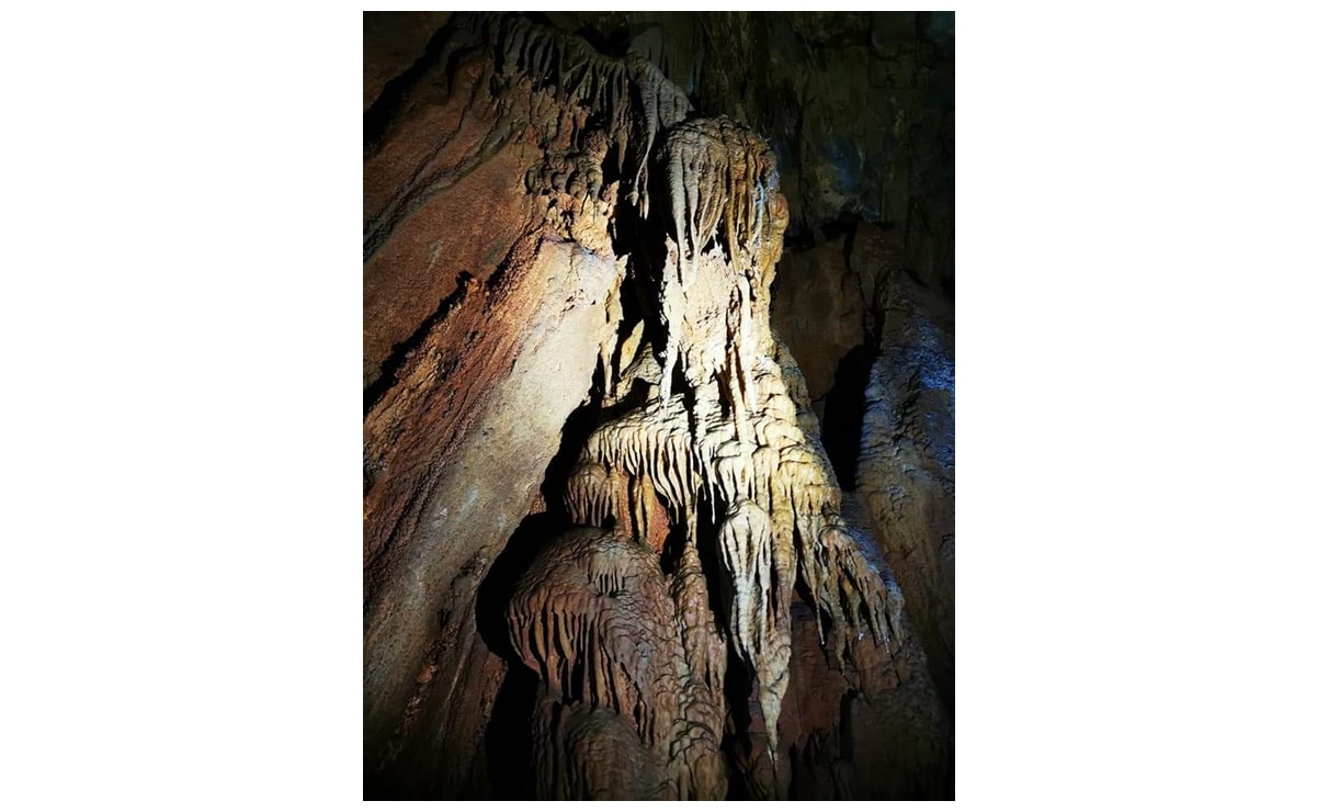 ¿Qué ver y hacer en la Cueva de Los Caballos, en Zaragoza?