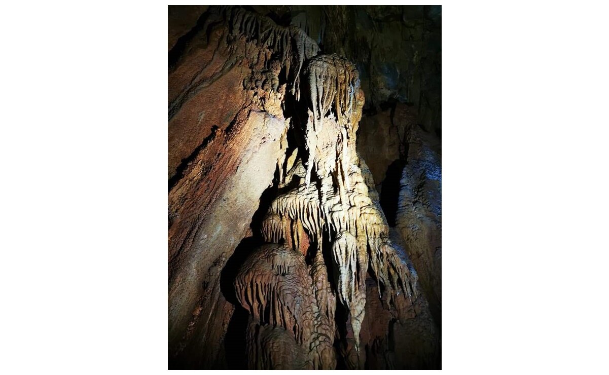 Foto: Estación Microondas