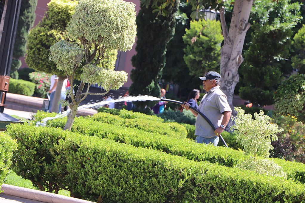 Servicios Municipales atiende 24 colonias de SLP 