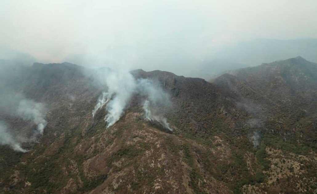 Cuatro incendios se mantienen activos en SLP