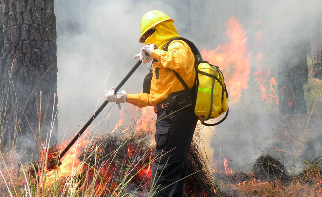Van 70 hectáreas siniestradas en temporada de calor