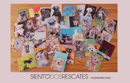 Siento Dos Rescates busca erradicar el abandono de perros y gatos 
