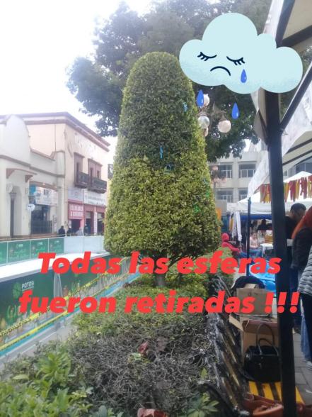 Madres buscadoras montan en Rioverde un árbol navideño con fotos de sus desaparecidos 