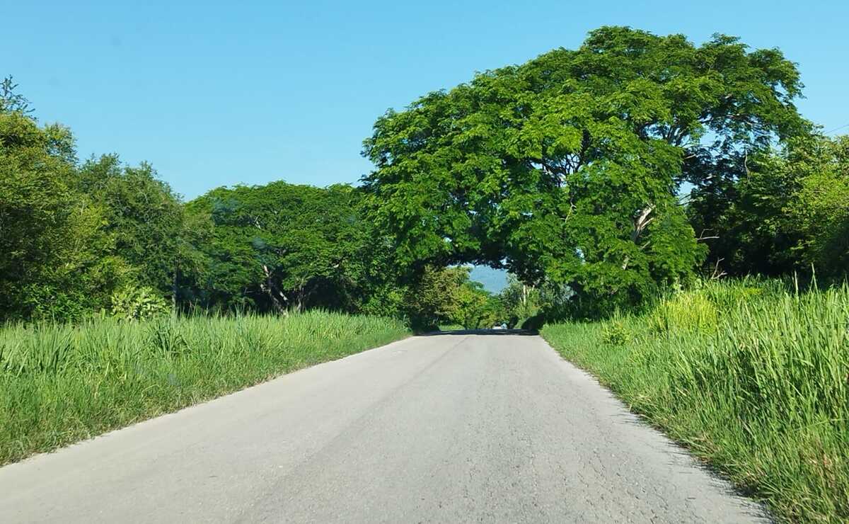 Alertan por temperaturas de hasta 45 grados en estas regiones de SLP. Foto: Nancy Lizet Hernández