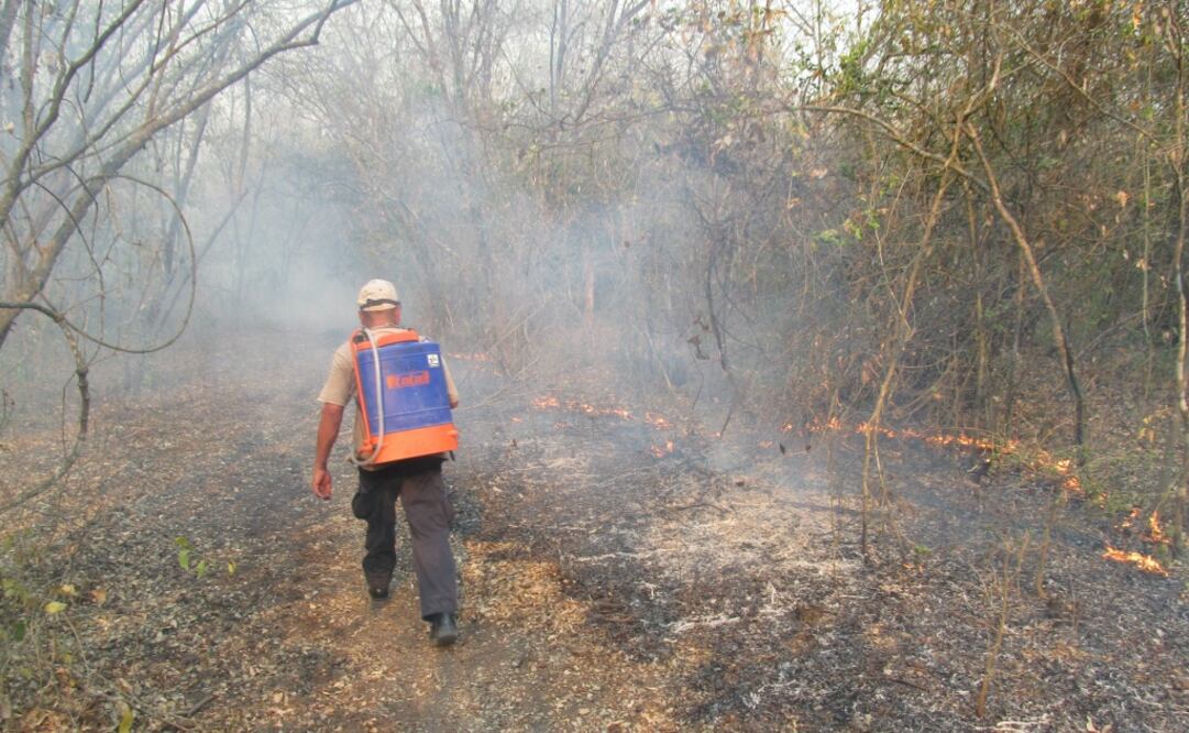 Foto: Archivo. EL UNIVERSAL