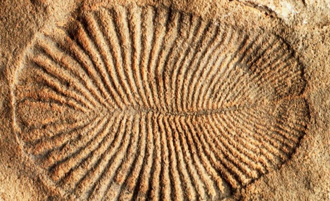 Foto: BBC | El Universal