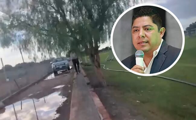 Ya hay orden de aprehensión contra el responsable de asesinar a disparos a dos perritos en Soledad: Gallardo