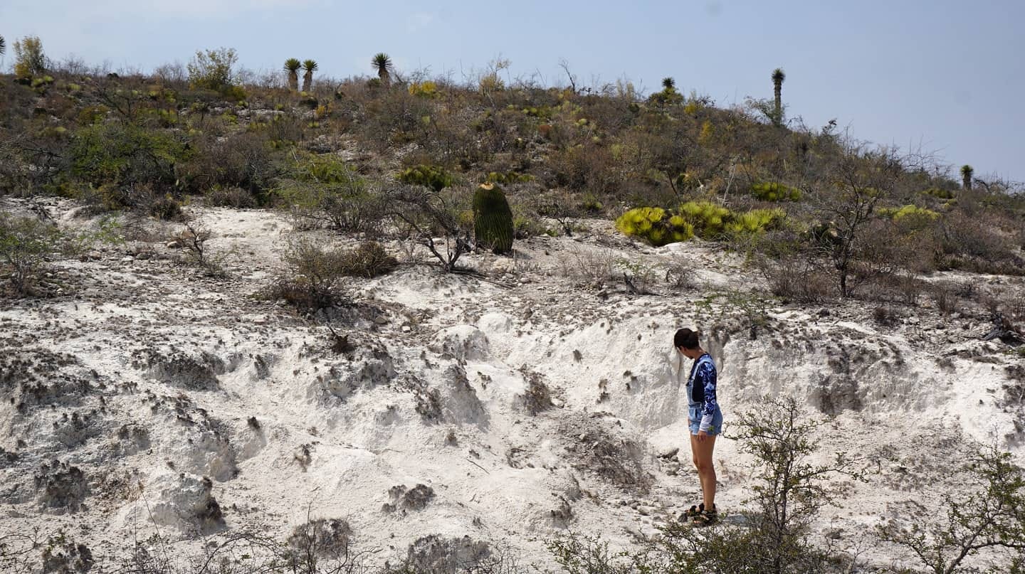 Lanzan Ruta del Llano, programa de turismo rural en la zona Media de San Luis Potosí