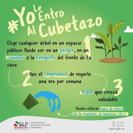 Lanza SEGAM ecoreto #YoLeEntroAlCubetazo