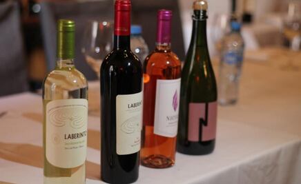 Vinos potosinos conquistan mercado nacional e internacional