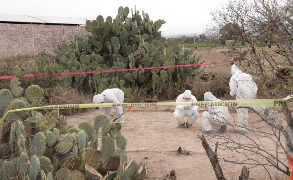Recolectan casi 3 kilos de restos óseos en ejido de Soledad