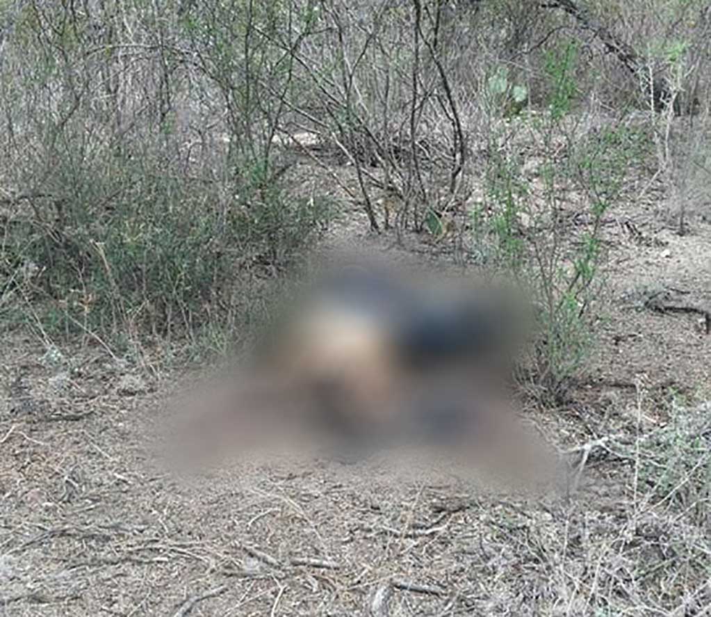 Localizan decapitado en Villa de la Paz