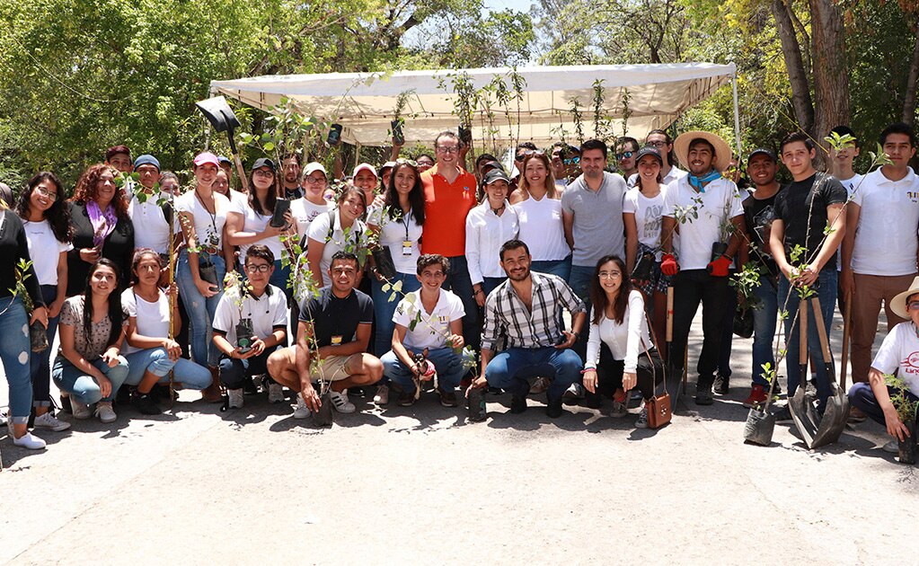 Reforestan Parque de Morales alcalde y jóvenes potosinos