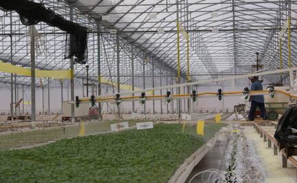 Incrementa superficie de riesgo tecnificado al cierre de 2020: Sedarh