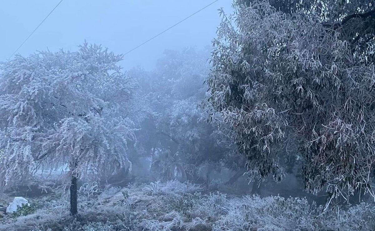 Hasta -4 grados en Real de Catorce, SLP: Habitantes fueron albergados en refugios temporales 