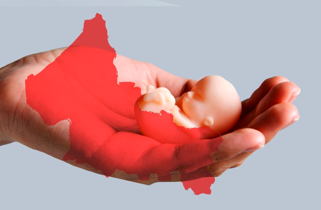 El aborto, entre condena y abandono en San Luis Potosí