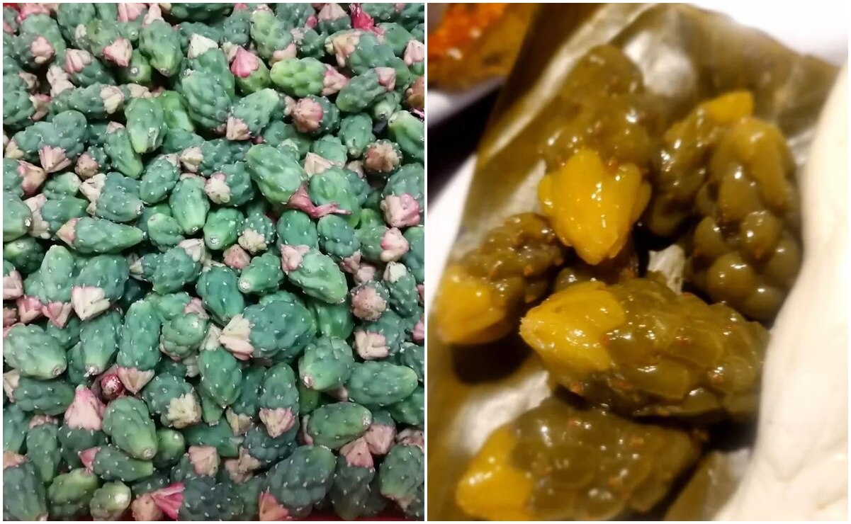 Conoce los cabuches, un secreto gastronómico de la Huasteca potosina  