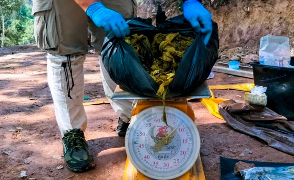 Hallan ciervo muerto con más de 7 kilos de plástico en su estómago